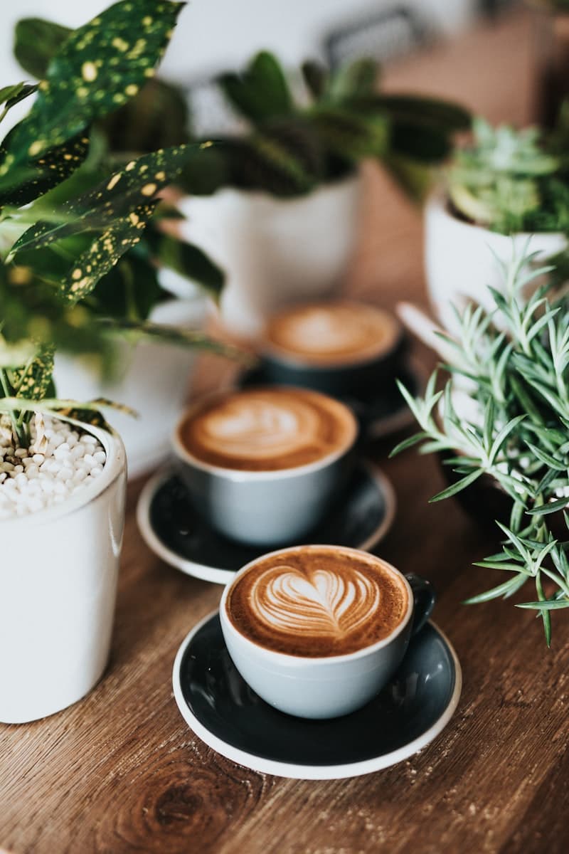 Coffee, Breakfast, and Brunch Near Palm HAUS