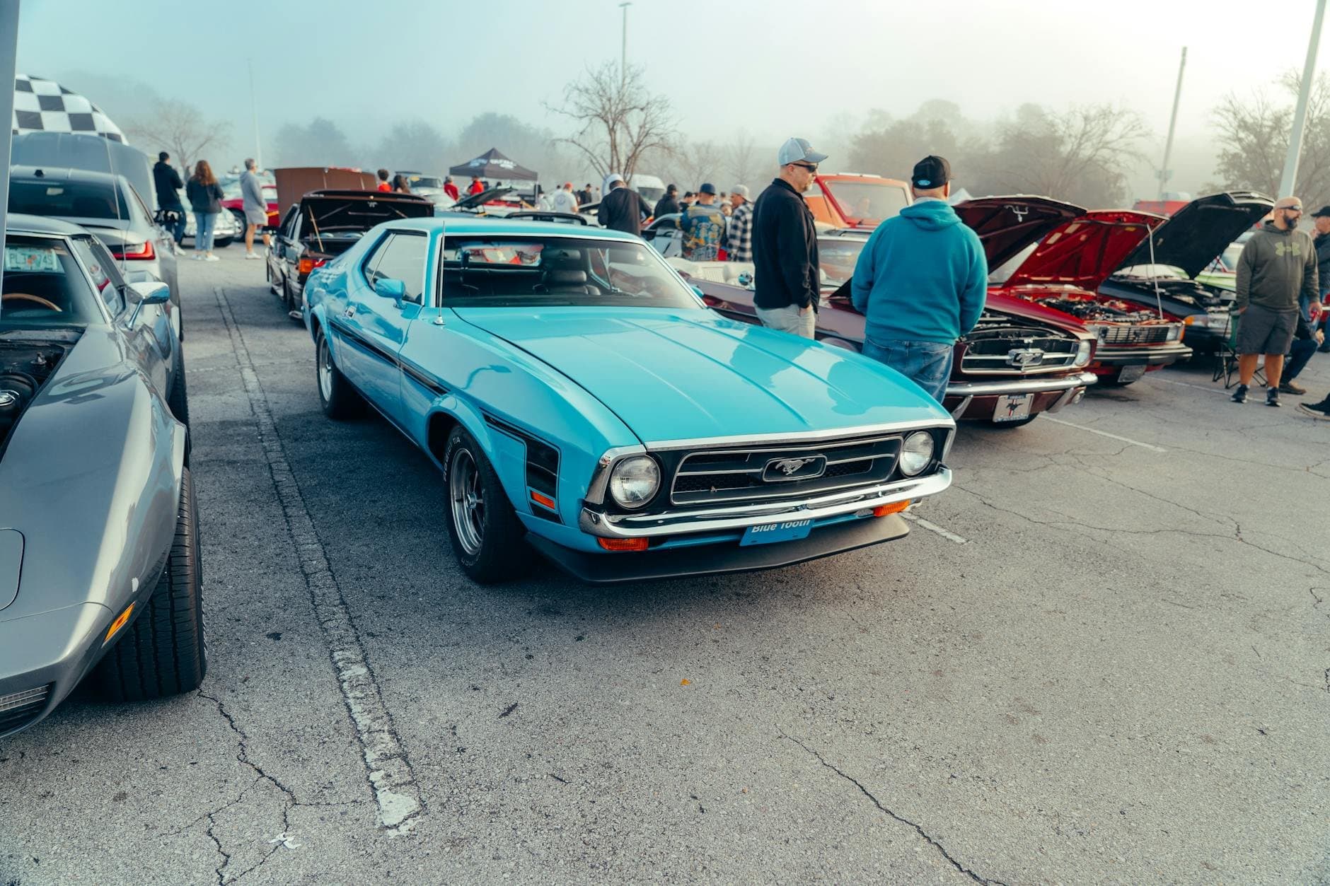 Mustangs at Daytona in Daytona Beach, Florida