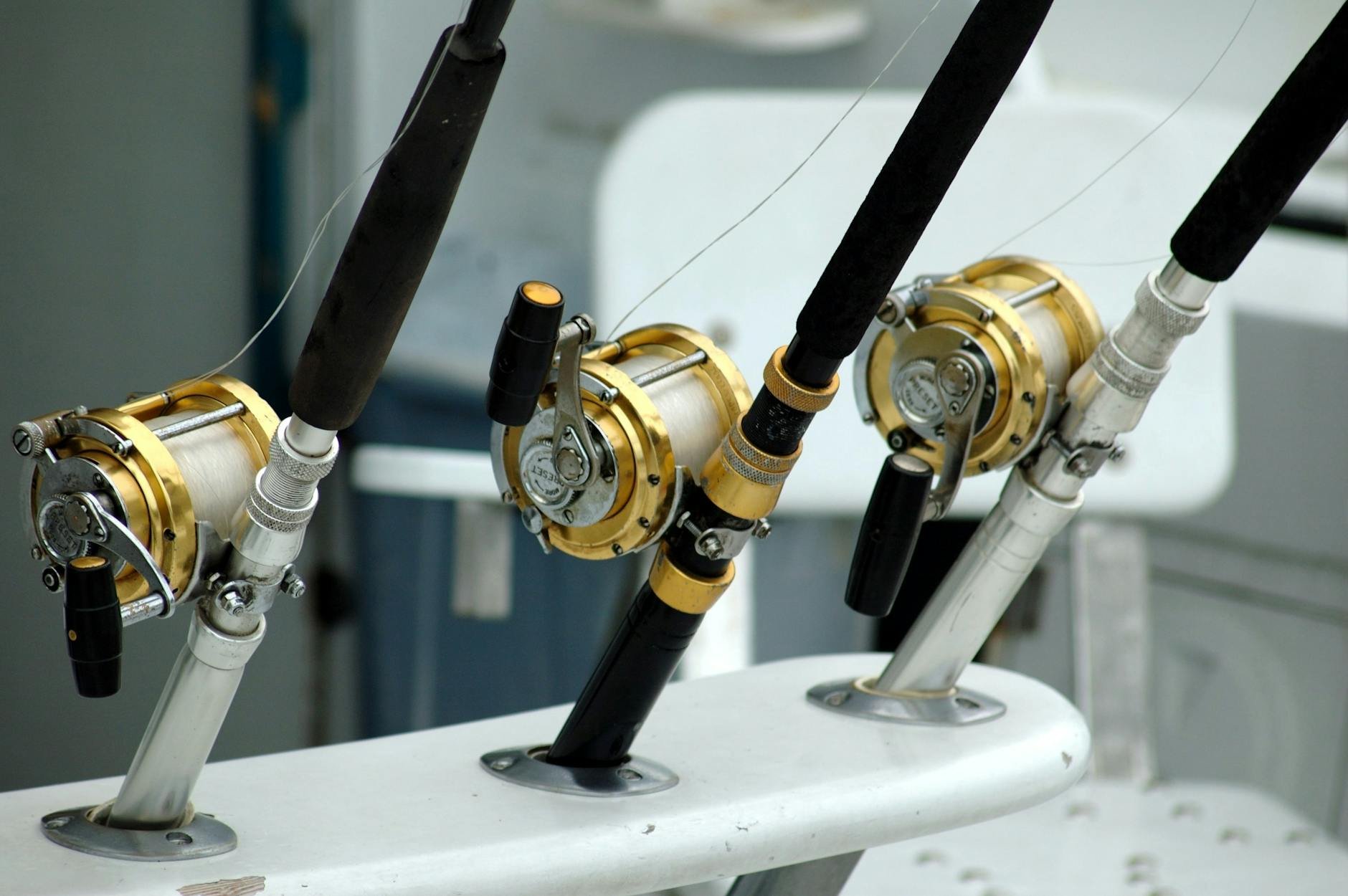Critter Fleet Fishing Charters