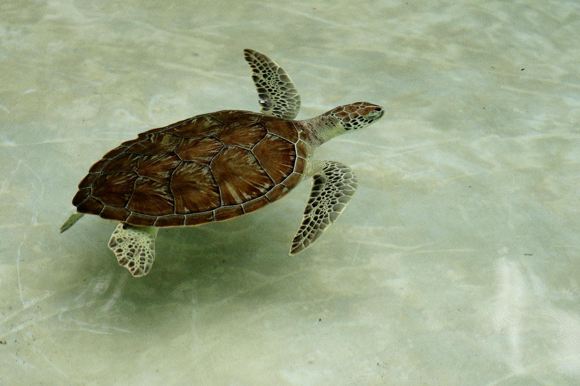 Marine Science Center