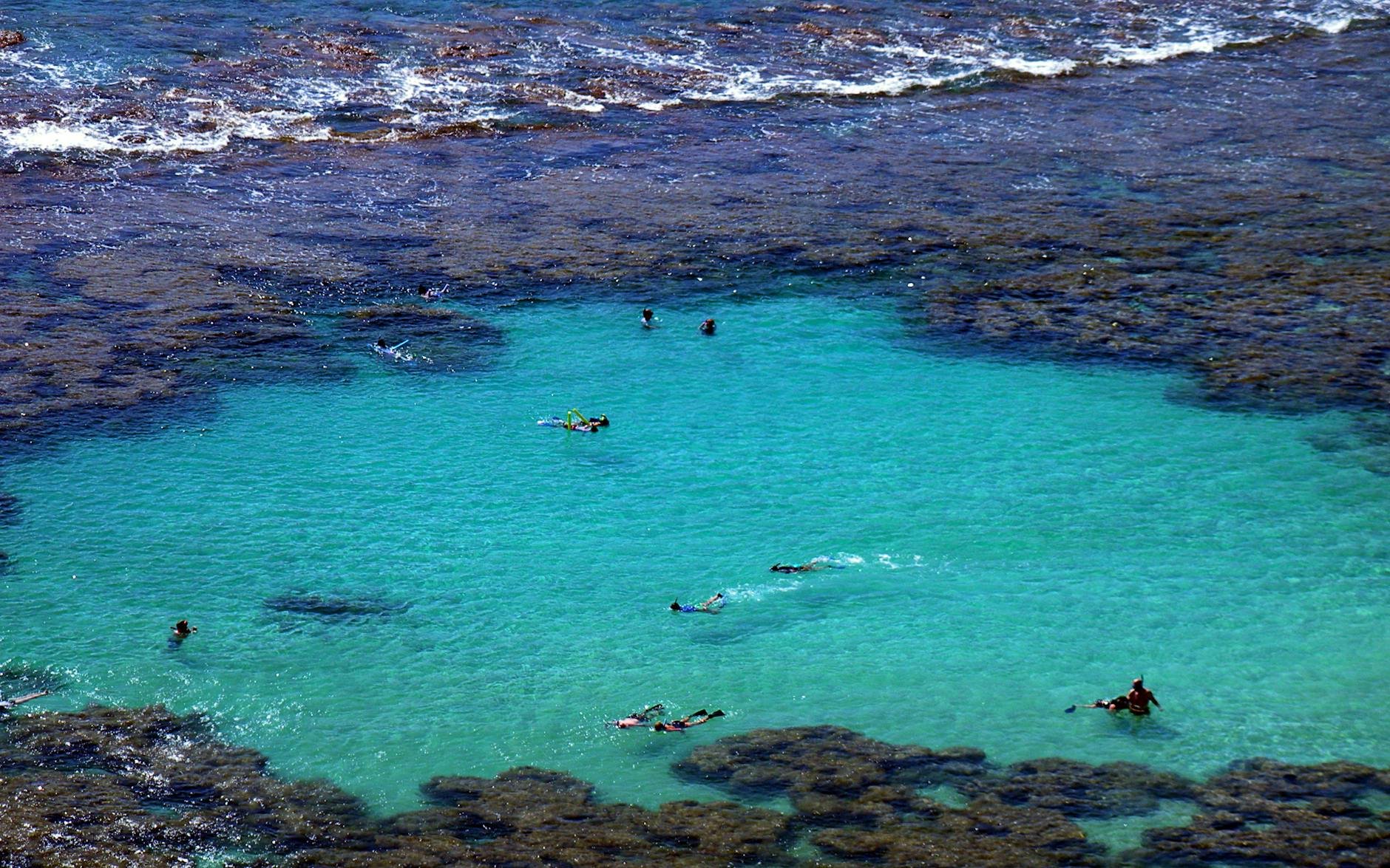 Queen’s Surf Snorkeling